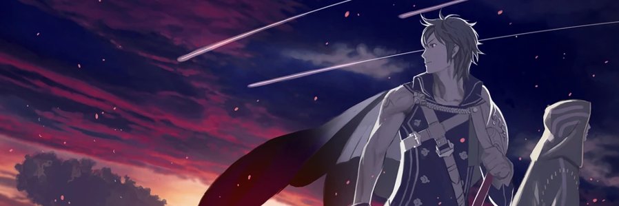 Noelle's banner
