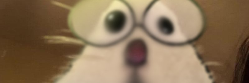Glaze's banner
