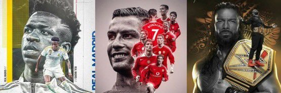 ViniGoat🇲🇦🦁🇵🇸's banner
