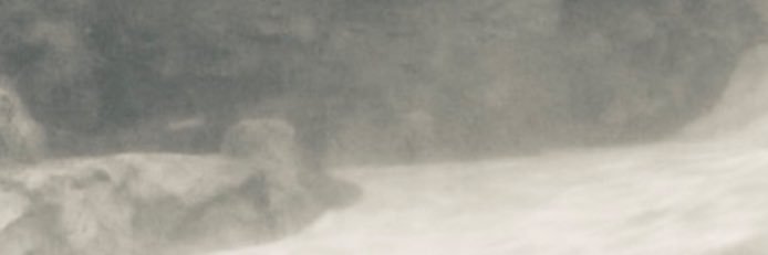 campanula's banner