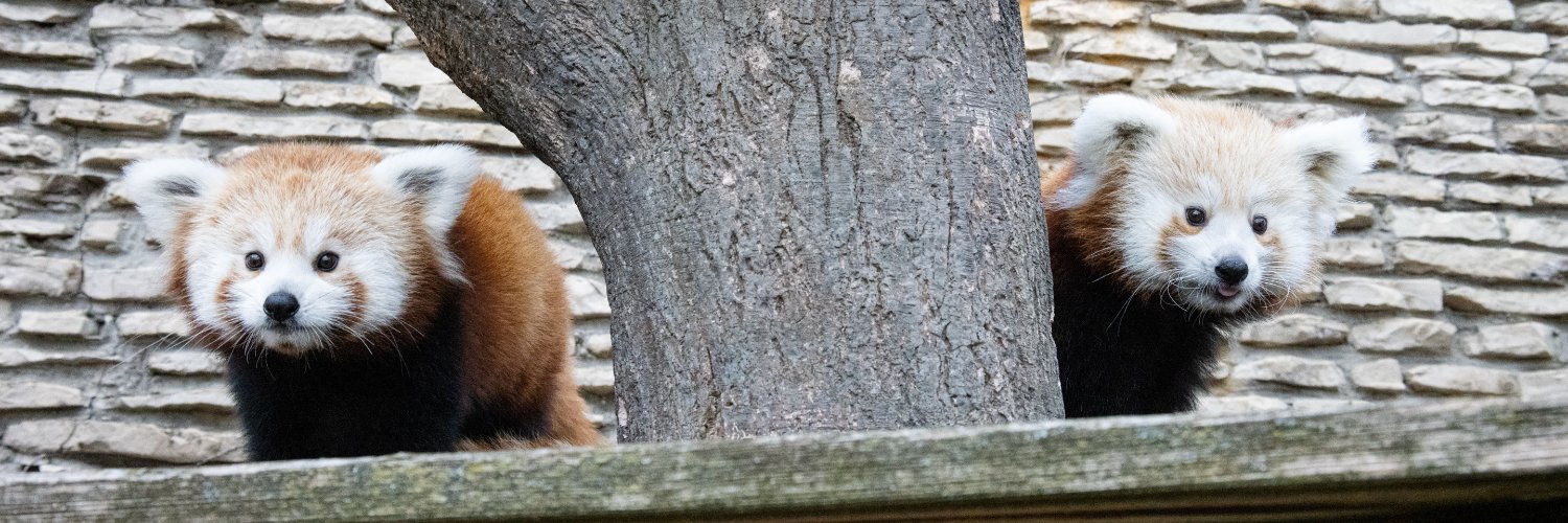 Buffalo Zoo's banner