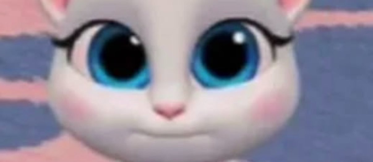 sashá's banner
