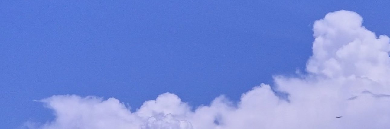모리's banner