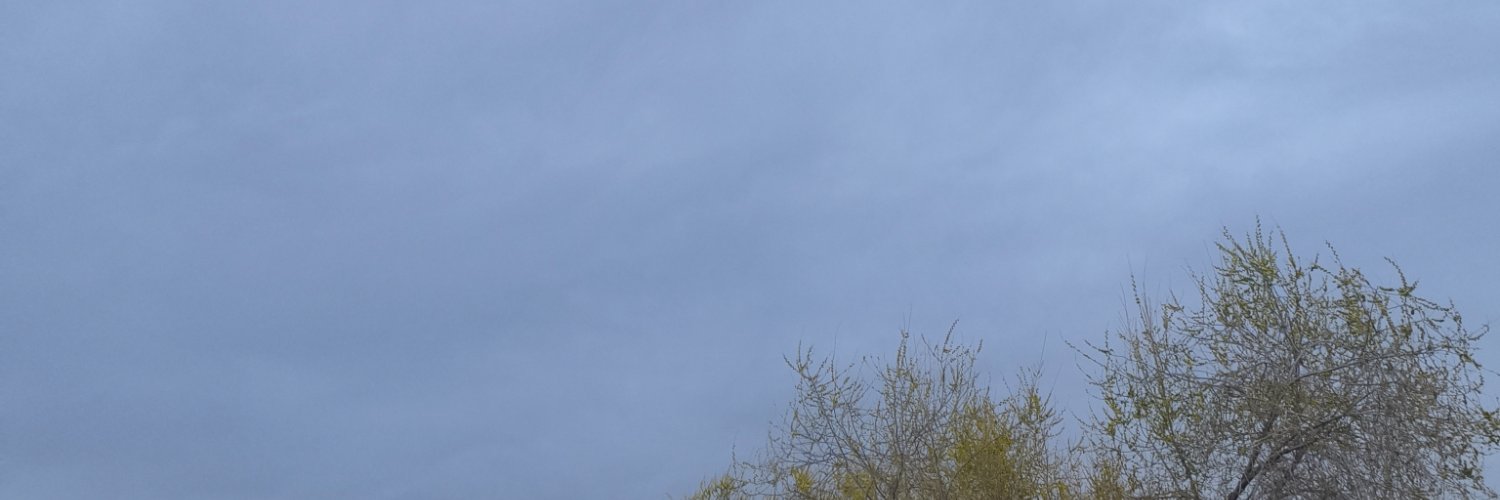 好好's banner