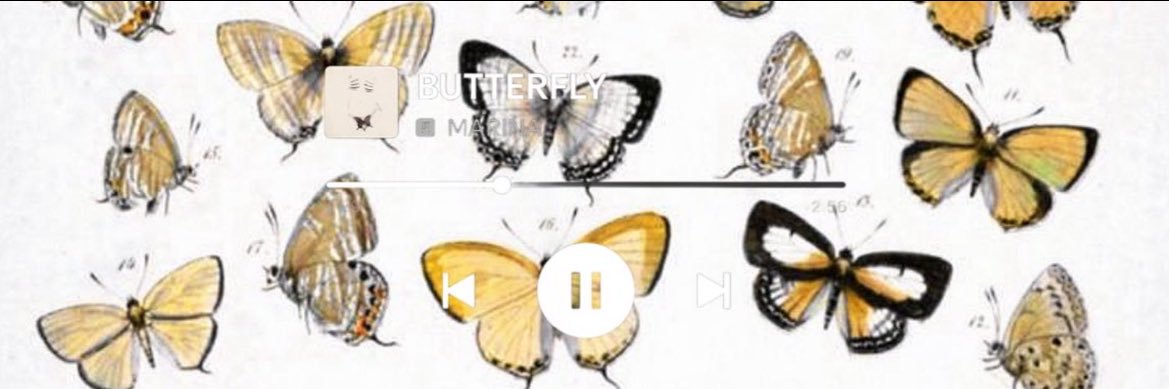 julianna 🦋's banner