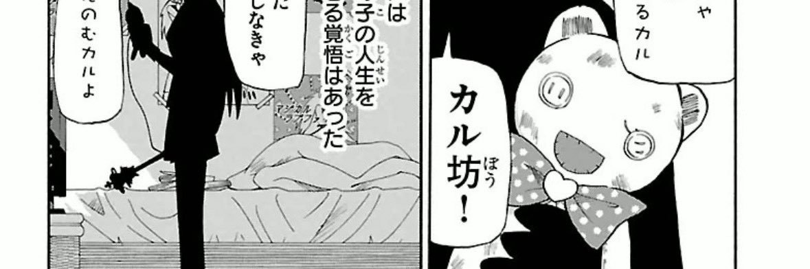 かるぼー's banner