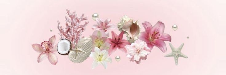 theonlyluna🩷🌷's banner