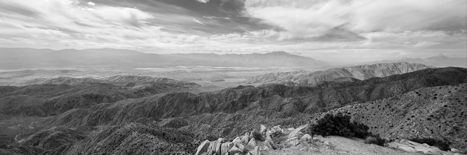Stayinyour Lane's banner