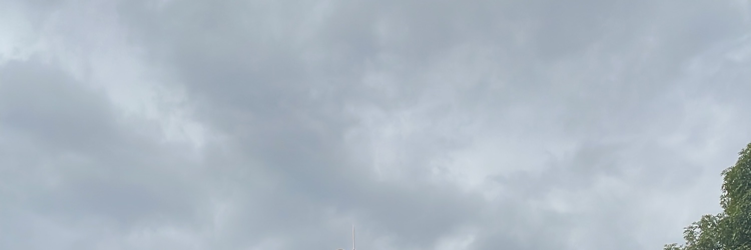 Rebeca's banner