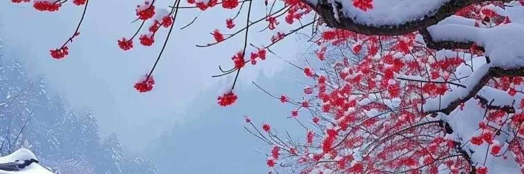 春雾浔's banner