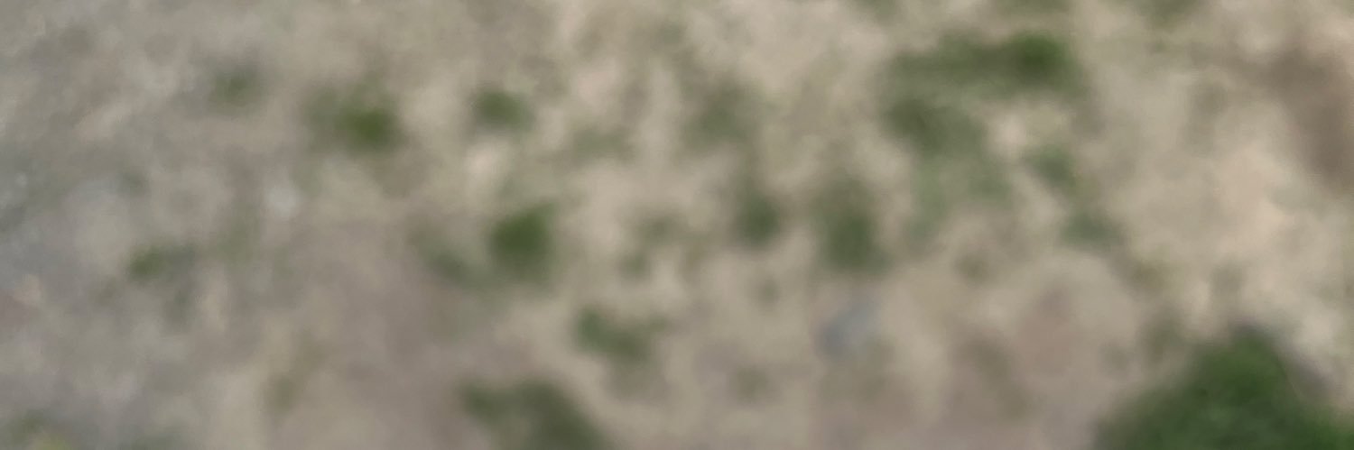 vlad's banner