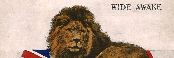 Zoomer's banner