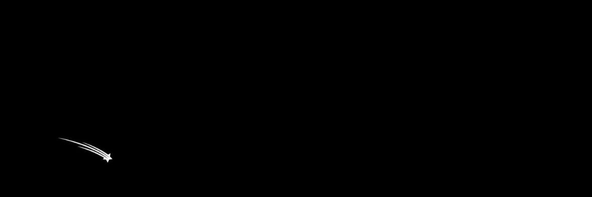 salvador's banner