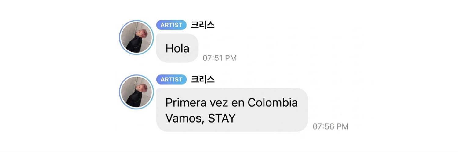 ♡ lia vió a skz 🇨🇴's banner