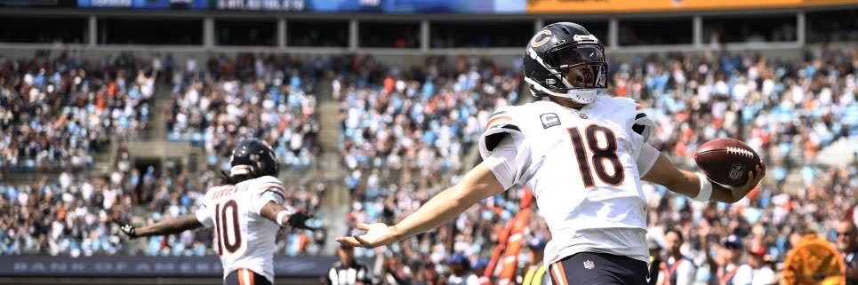 Depressed Bears Fan's banner