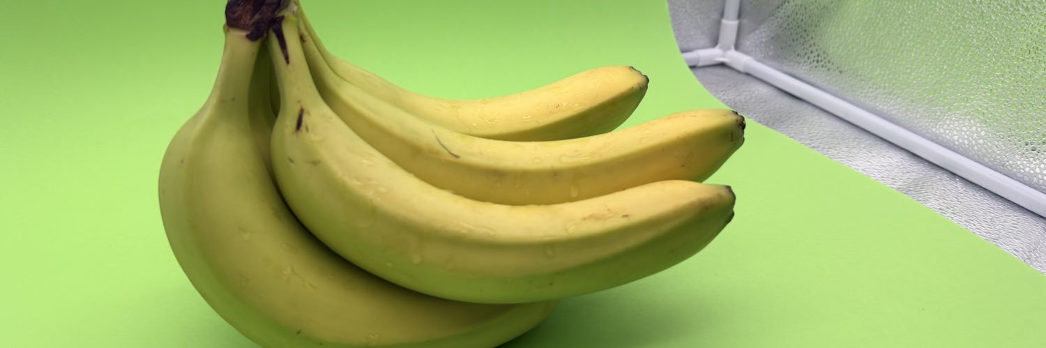 ThatAppleUser🇭🇺's banner