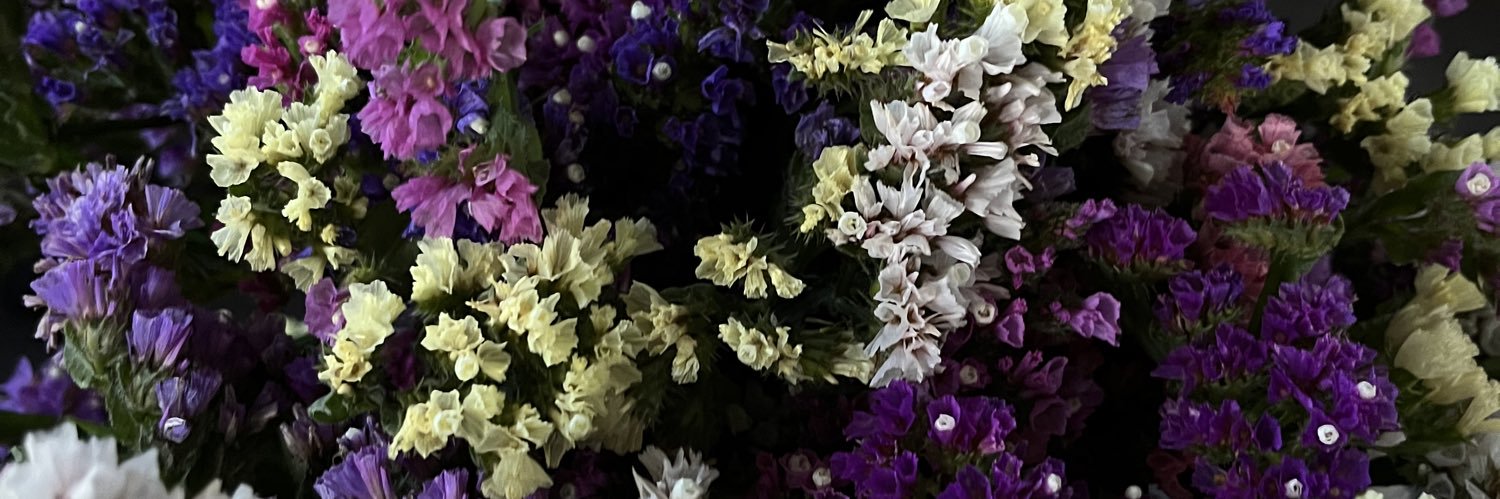 🎀пані хрюша🎀 | ЗБІР's banner