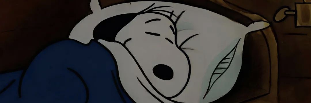 波波罗罗蜜's banner
