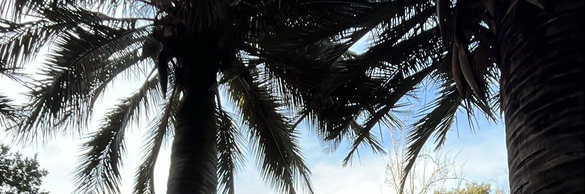 .xxx's banner