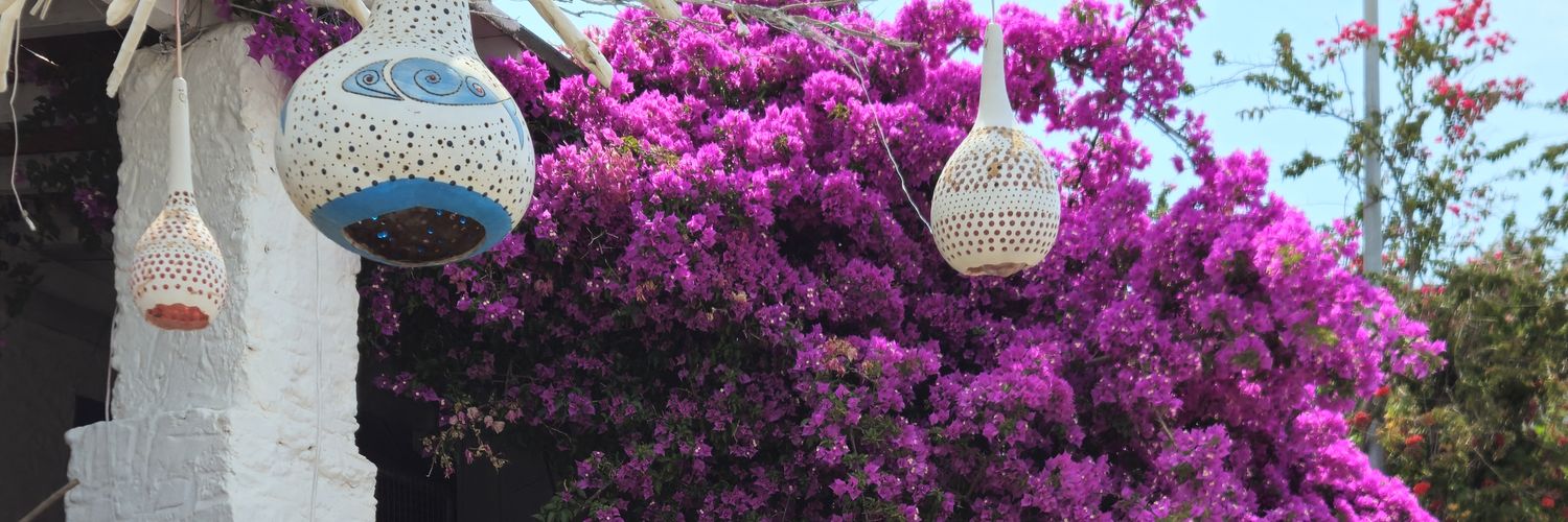 EBRUNELLA🌸🌸🌸's banner