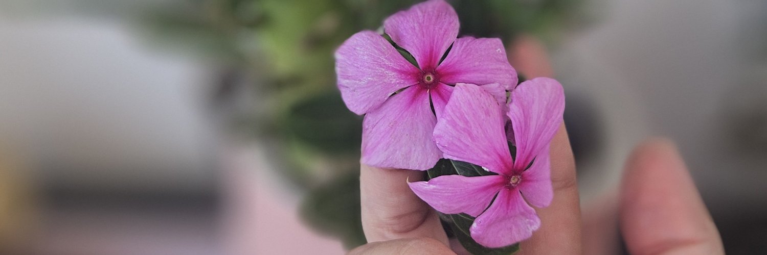 EBRUNELLA🌸🌸🌸's banner