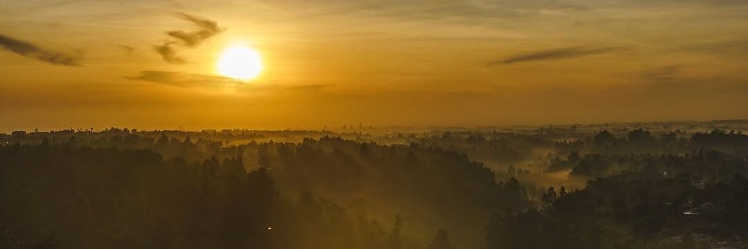 iammcqwory's banner