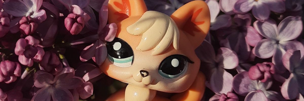 winnie ⋆˙⟡'s banner