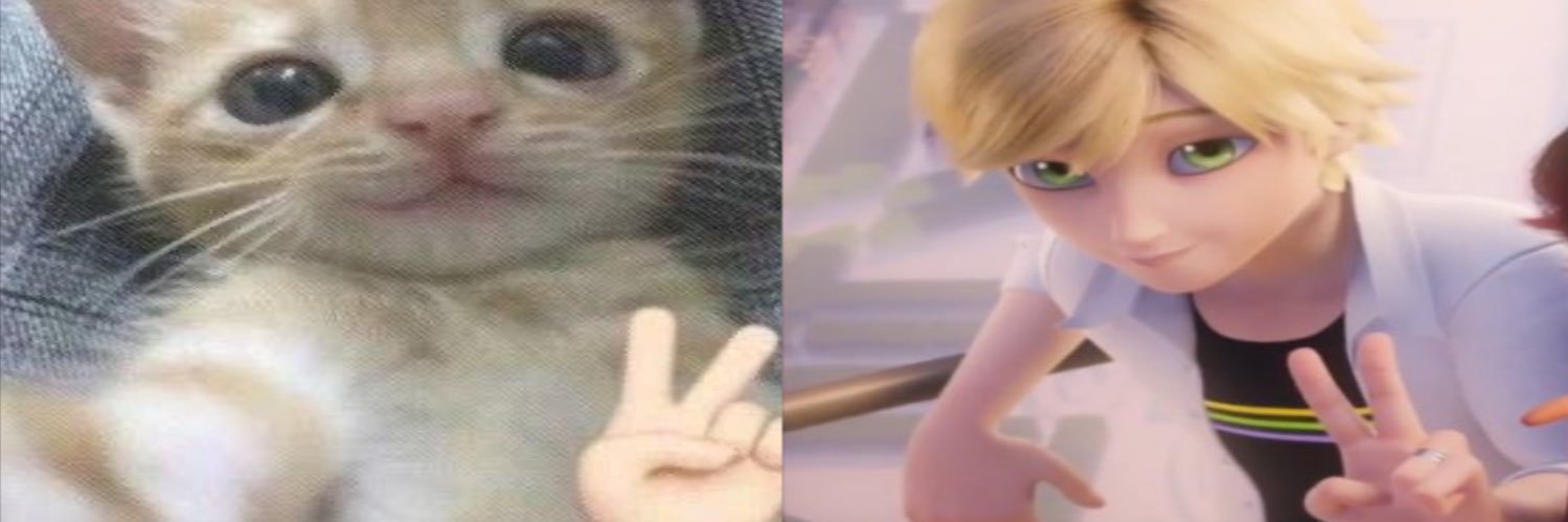 genderfluid adrien truther's banner