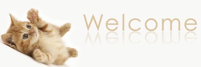allan 𐦍's banner