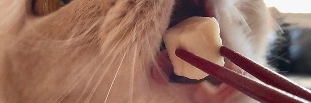 간장's banner