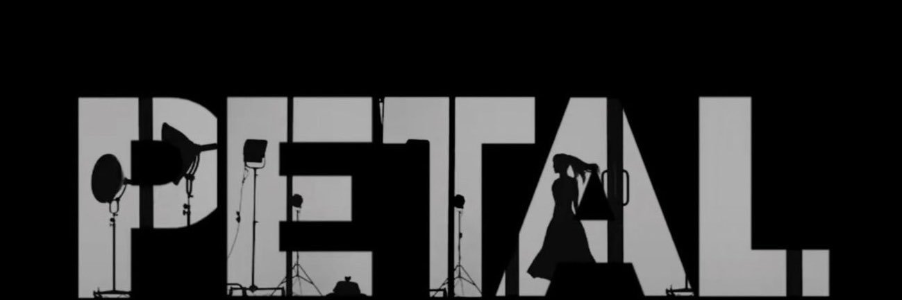 🎶ꕤBHARGAV'S SEEING ARIANA🎬's banner