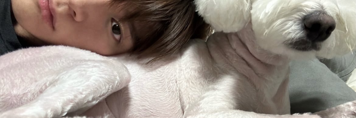 햄부기's banner