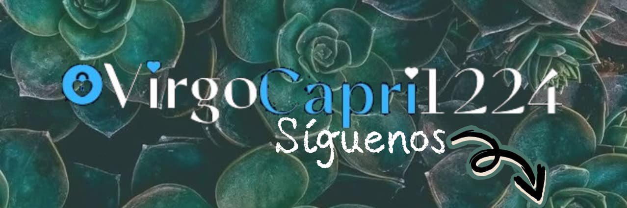 Virgo♍️ Capri♑️'s banner