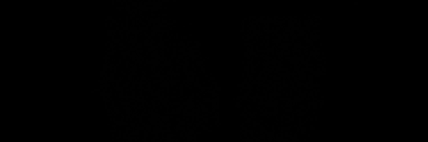 xo's banner