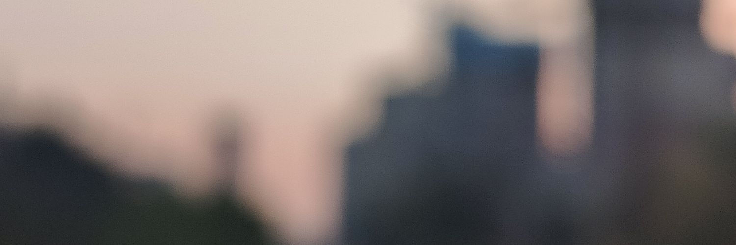 菠萝🍍's banner