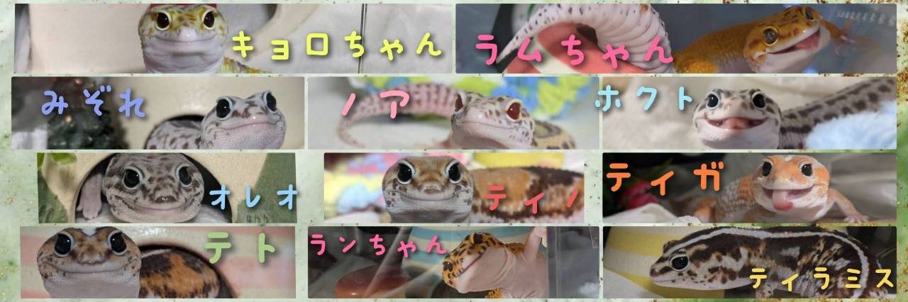 yuri-a-nimals.'s banner