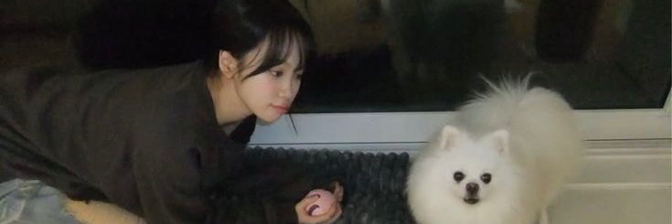 えいと's banner