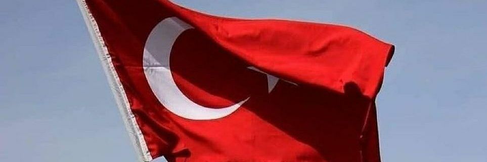 Sinem İncel's banner