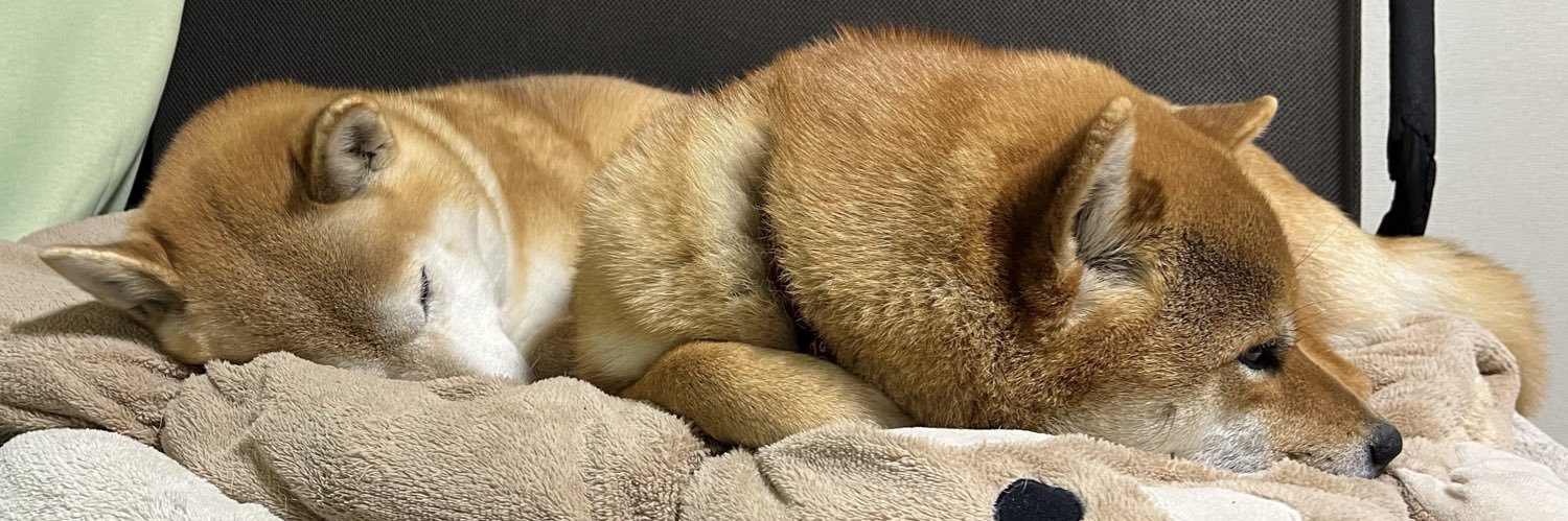 ピザになりたい's banner