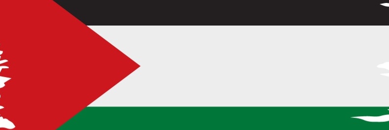 TheBadGoy 🇺🇸's banner