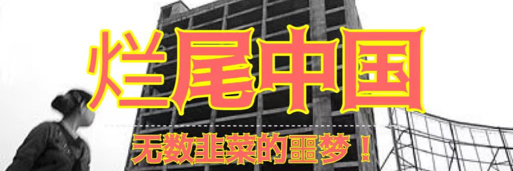 烂尾中国's banner