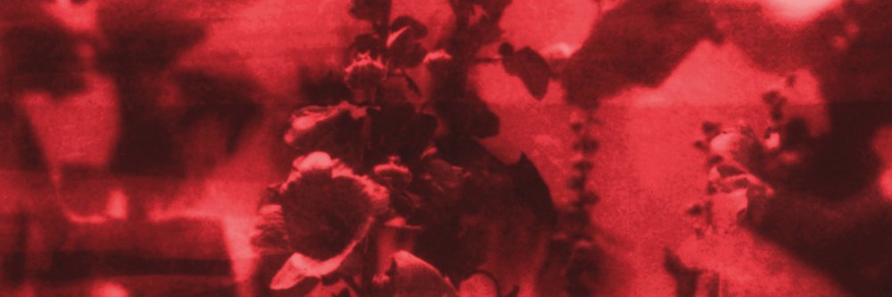 PEPPERS 🌶️'s banner