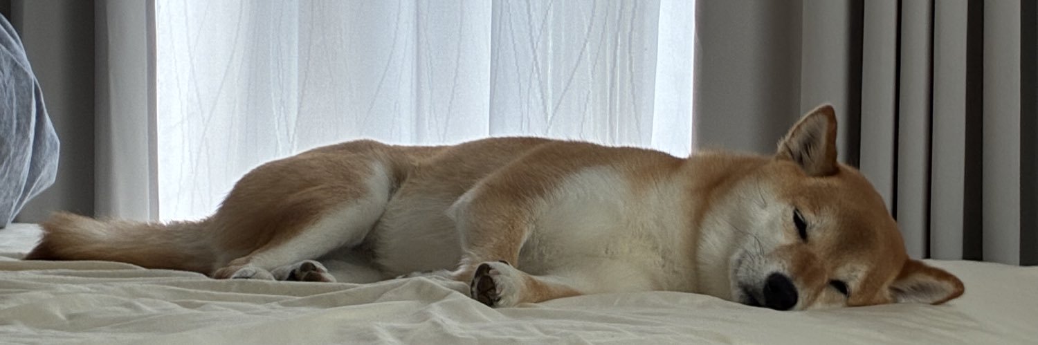 柴犬福's banner