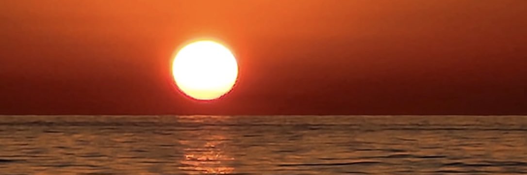 Lisalovesshells's banner
