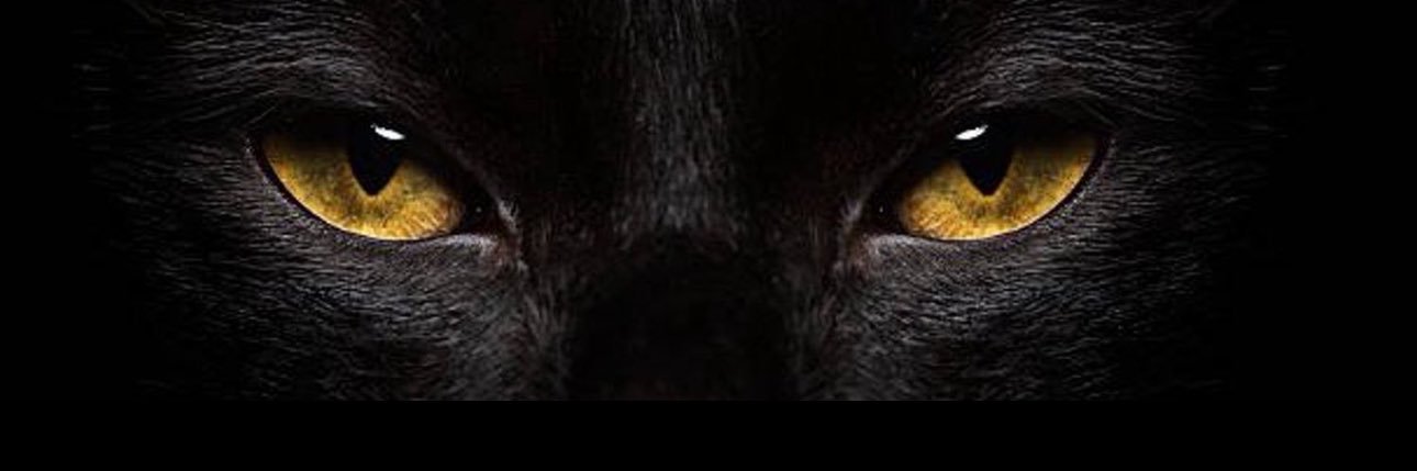 Face's banner