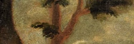 troy's banner