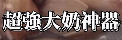 猊's banner