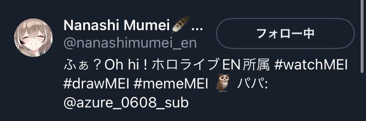 ほーみん(Hoomin)🪶🍂🌼's banner