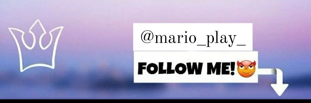 Mario.play11's banner