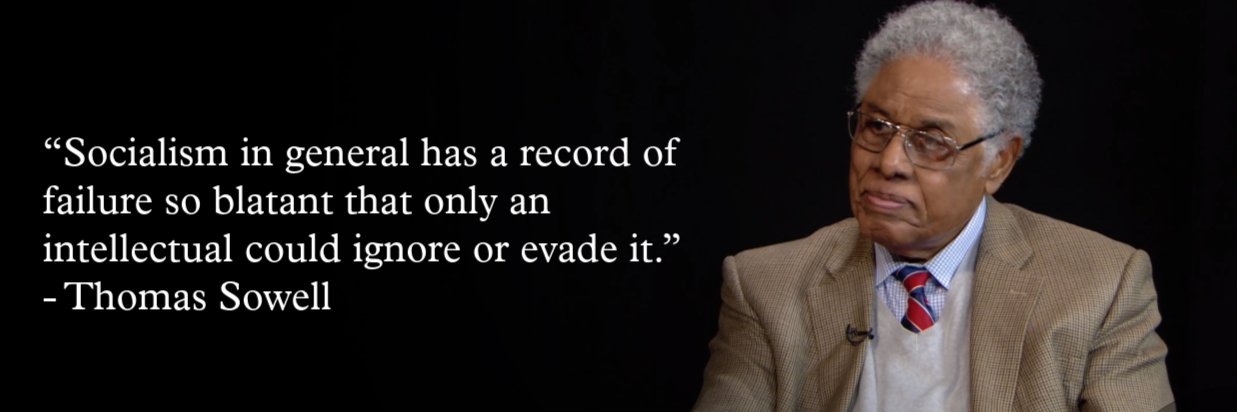 Sowell Economics's banner